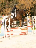 DSC07173 DSC07173