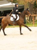 DSC07174 DSC07174