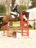 DSC07175 DSC07175