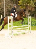 DSC07176 DSC07176