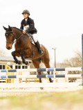 DSC07179 DSC07179