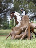 IMG_2642 IMG_2642