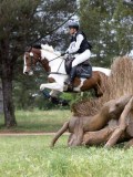 IMG_2643 IMG_2643