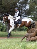 IMG_2644 IMG_2644