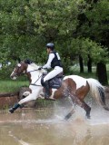 IMG_2651 IMG_2651