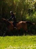 DSC01689 DSC01689