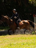 DSC01694 DSC01694