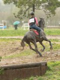 DSC05510 DSC05510