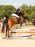 DSC00385 DSC00385