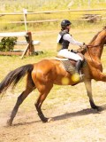 DSC03654 DSC03654