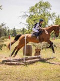 IMG_9399 IMG_9399