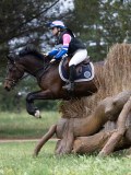 IMG_2599 IMG_2599