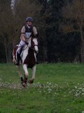 IMG_0147 IMG_0147