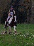 IMG_0149 IMG_0149