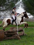 IMG_0154 IMG_0154