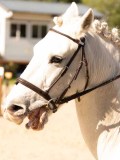 DSC00324 DSC00324