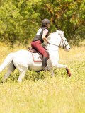 DSC03678
