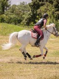 IMG_9410