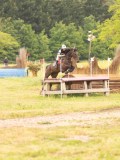 DSC07443 DSC07443