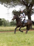 IMG_2579 IMG_2579