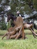 IMG_2581 IMG_2581