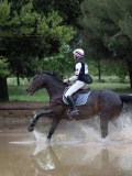 IMG_2584 IMG_2584