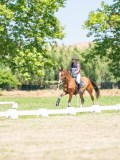 DSC07958 DSC07958