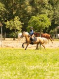 DSC01039 DSC01039
