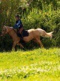 DSC01703 DSC01703