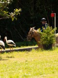 DSC01705 DSC01705
