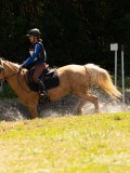 DSC01708 DSC01708