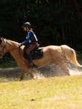DSC01709 DSC01709