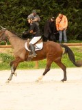 DSC07068