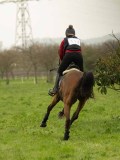DSC00154 DSC00154