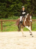 DSC01216 DSC01216