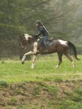 DSC05535 DSC05535