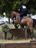 IMG_2557 IMG_2557
