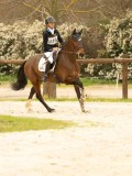 DSC07132 DSC07132