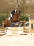 DSC07133 DSC07133