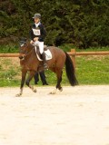 DSC07135 DSC07135