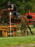 DSC00175