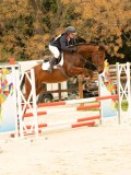 DSC07157 DSC07157