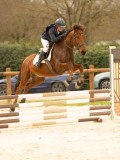 DSC07166 DSC07166