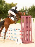 DSC07167 DSC07167