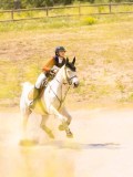 DSC03367 DSC03367