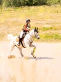 DSC03368 DSC03368