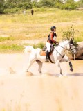 DSC03369 DSC03369