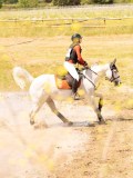 DSC03371 DSC03371