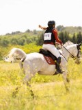 DSC03375 DSC03375