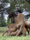 IMG_2562 IMG_2562